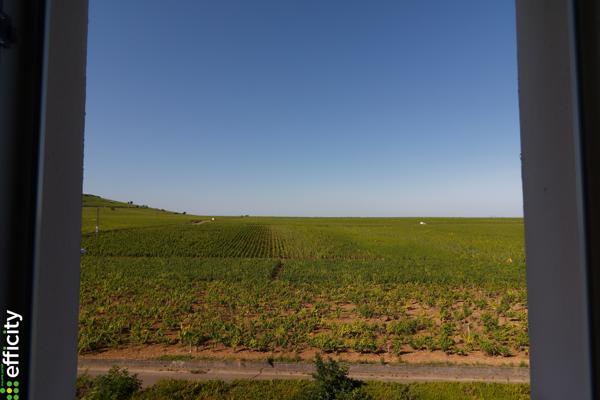 Appartement 1 pièce - 30 m² Exclusivité efficity