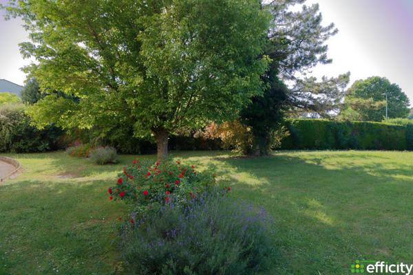 Appartement 1 pièce - 30 m² Exclusivité efficity