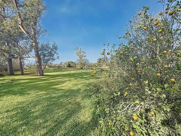 Villa Theza 125 m2  avec un terrain de 5000m2