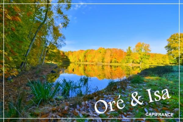 Etang et Terrain à vendre de 49 655,00 m² SAINT DESIRE (03)