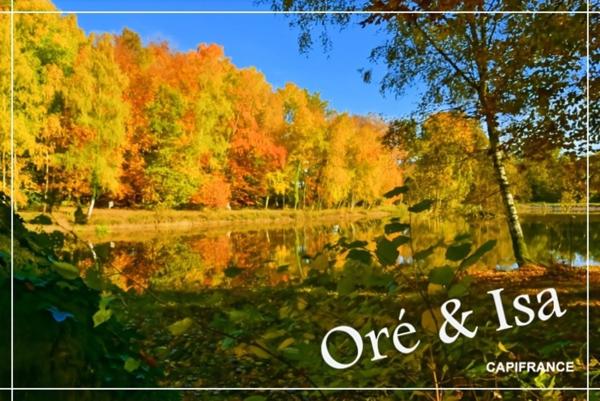 Etang et Terrain à vendre de 49 655,00 m² SAINT DESIRE (03)