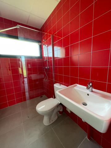 LOCAL PROFESSIONNEL - MONTRICHARD