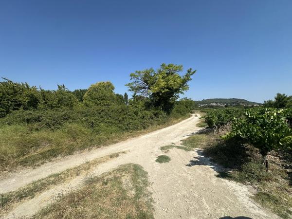 Vente / Terrain agricole à Laudun-l'Ardoise (30290)