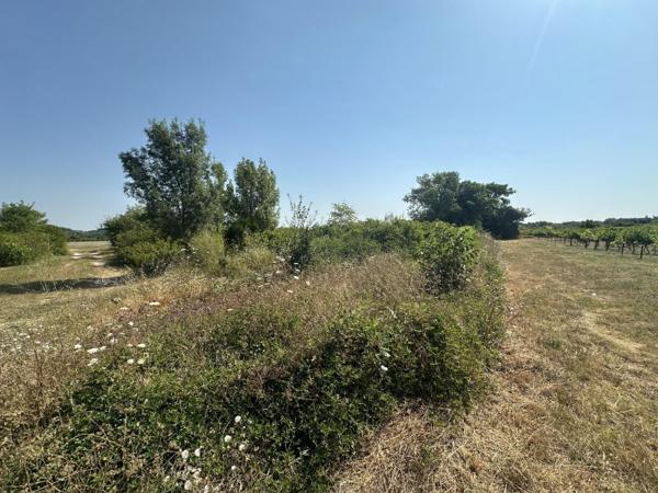 Vente / Terrain agricole à Laudun-l'Ardoise (30290)