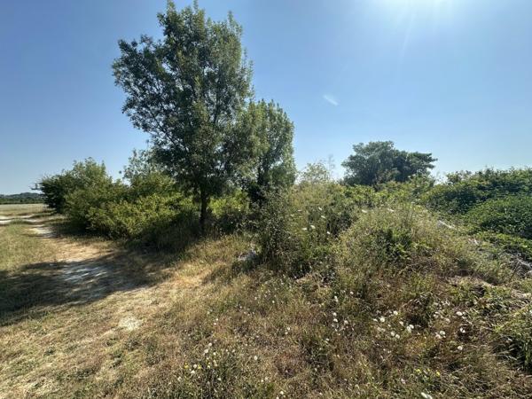 Vente / Terrain agricole à Laudun-l'Ardoise (30290)