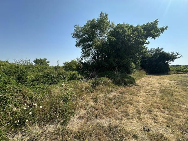 Vente / Terrain agricole à Laudun-l'Ardoise (30290)