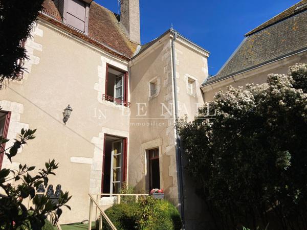 Confortable hôtel particulier avec 3 gîtes dans le quartier historique d'Issoudun (Indre)