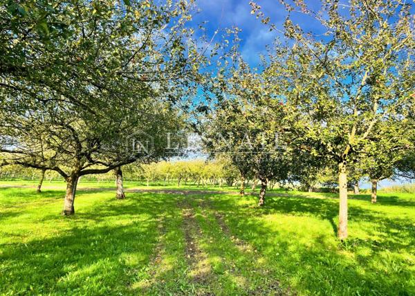 A 5 MINUTES DES PLAGES : Domaine cidricole d'exception en Bretagne Nord