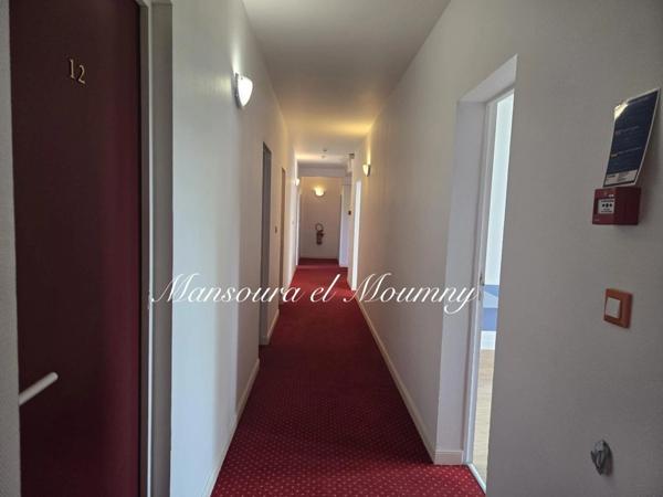 Propriété à vendre 20 pièces CHATEAU RENAULT (37)