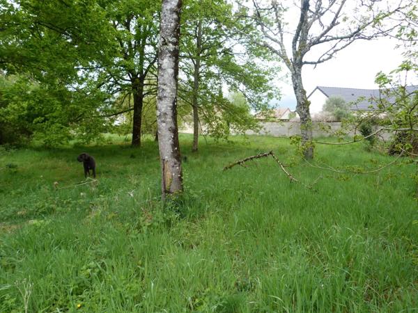 Vente Terrain 4000 m2 à Theillay