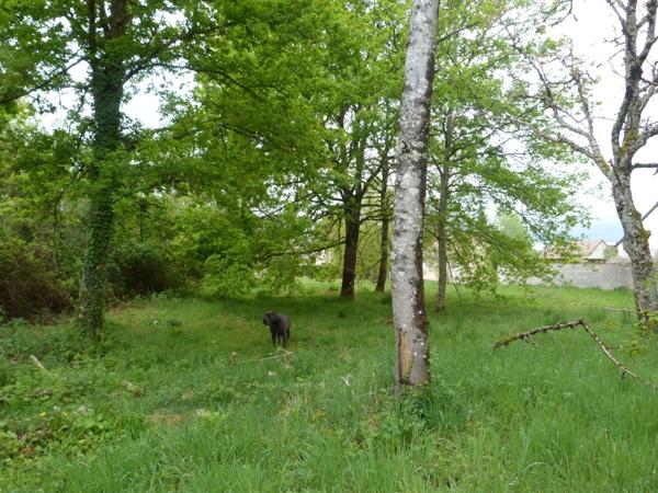 Vente Terrain 4000 m2 à Theillay