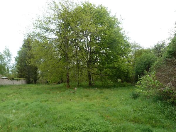 Vente Terrain 4000 m2 à Theillay