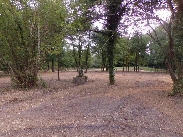 Vente Terrain 4000 m2 à Theillay