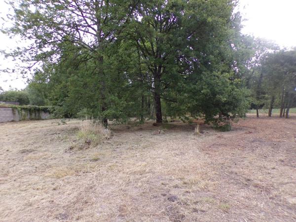 Vente Terrain 4000 m2 à Theillay