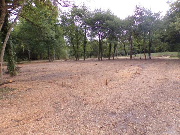 Vente Terrain 4000 m2 à Theillay