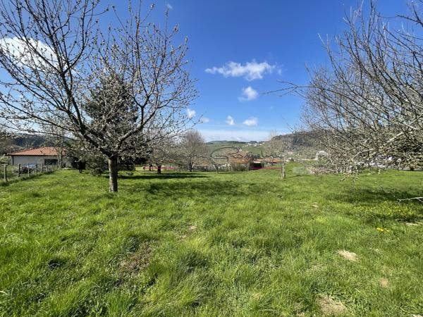 Terrain constructible