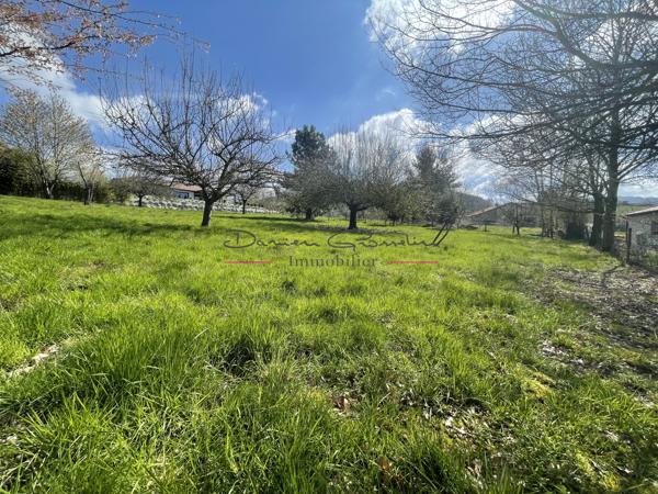 Terrain constructible