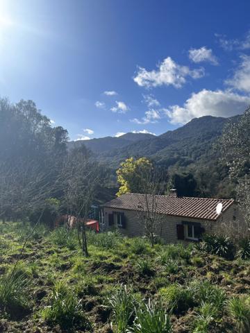Maison F3 de plain-pied - Terrain de 1800m2 constructible - Forciolo Forciolo (20190)