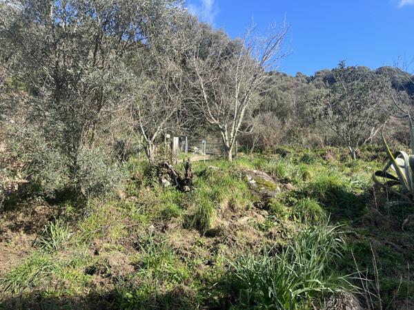 Maison F3 de plain-pied - Terrain de 1800m2 constructible - Forciolo Forciolo (20190)