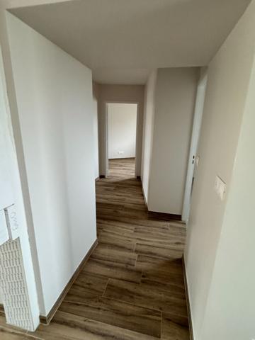 Appartement refait à neuf