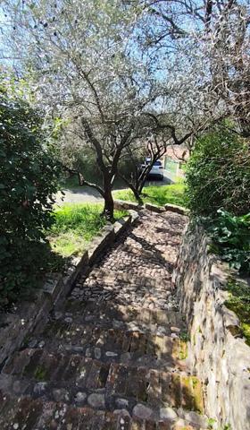 Maison familiale avec vue et terrain d’oliviers 2200 m² – 6 chambres – à 5 min d’Alès Saint-Christol-lez-Alès (30380)