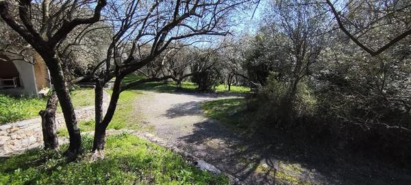 Maison familiale avec vue et terrain d’oliviers 2200 m² – 6 chambres – à 5 min d’Alès Saint-Christol-lez-Alès (30380)