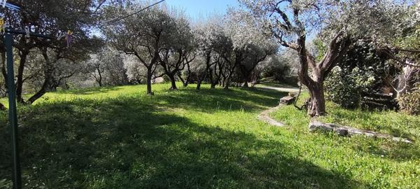 Maison familiale avec vue et terrain d’oliviers 2200 m² – 6 chambres – à 5 min d’Alès Saint-Christol-lez-Alès (30380)
