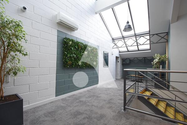 Bureaux 1 pièce 53 m2