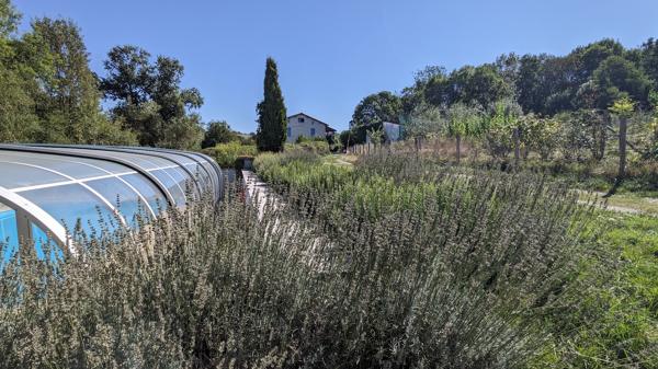 Exceptionnel corps de ferme entièrement autonome . Pamiers
