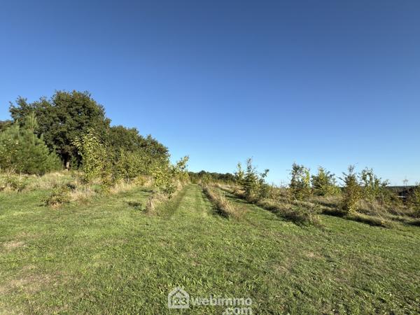 Maison 182 m² à Mouliherne 49390