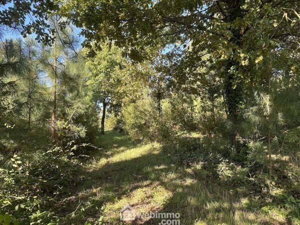 Maison 182 m² à Mouliherne 49390