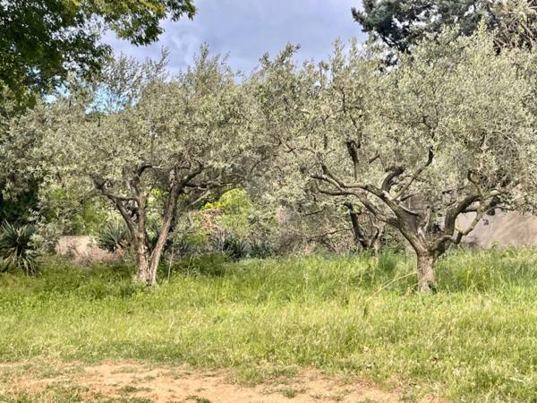 Dpt Vaucluse (84), à vendre BEAUMES DE VENISE maison P8 de 250 m² - Terrain de 3 000,00 m²