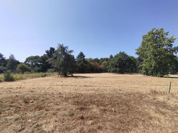 Maison 50m² sur terrain 2 500m², Divatte sur Loire (44450)