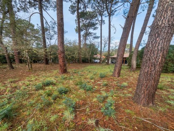 Lacanau (33680) Terrain constructible 700m²