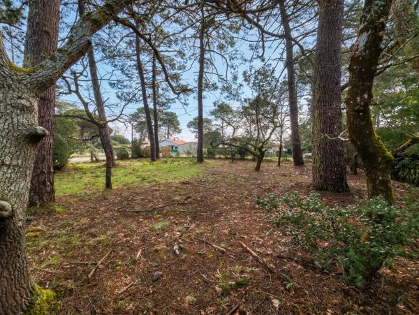 Lacanau (33680) Terrain constructible 700m²