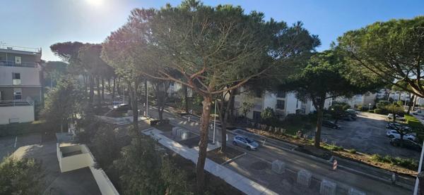 Appartement à louer à Grande-Motte (34280)