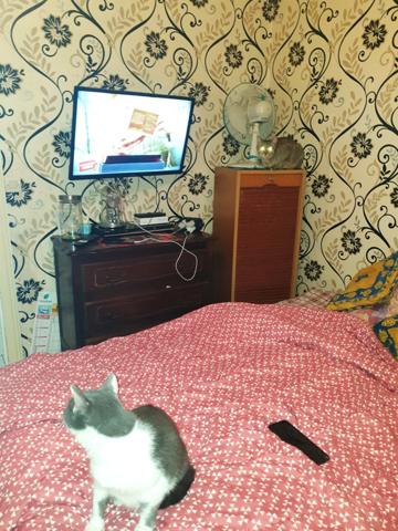 SAINT AIGULIN (17) a vendre 4 appartements loués plus garages,