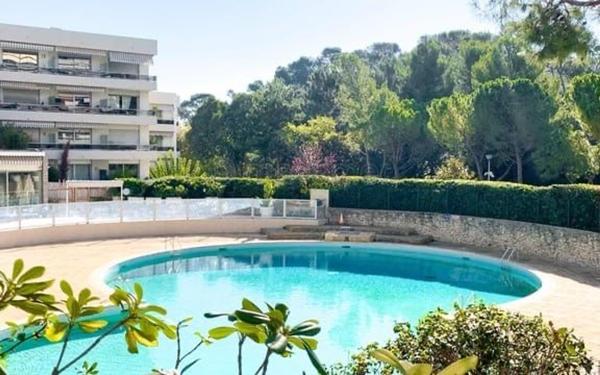 Appartement à vendre    1 pièce • 34,61 m2 Marseille 8