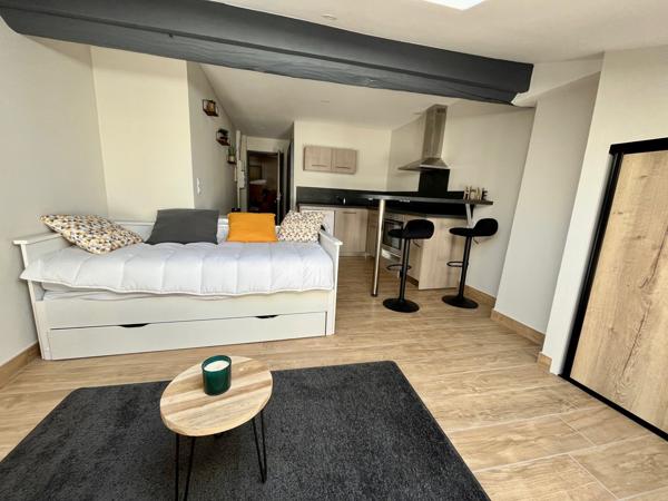 Sainte Livrade sur Lot, studio rénové à NEUF de grande qualité de 21 m² MEUBLÉ. Situé au deuxième et dernier étage d'un immeuble tranquille, ce studio est lumineux et très bien équipé : cuisine équipée avec hotte, plaques, four, lave-linge, séjour , Sainte livrade sur lot