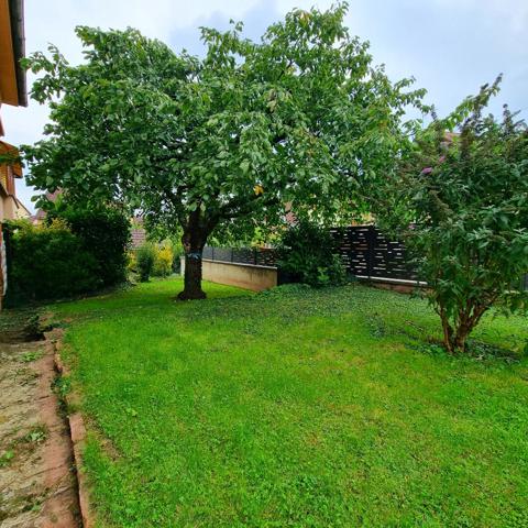 Maison Selestat 6 pièces 162 m2 sur 7,73 ares de terrain emplacement calme