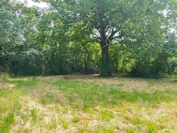 Achat - Terrain à bâtir Thairé 17290 1103 m 2