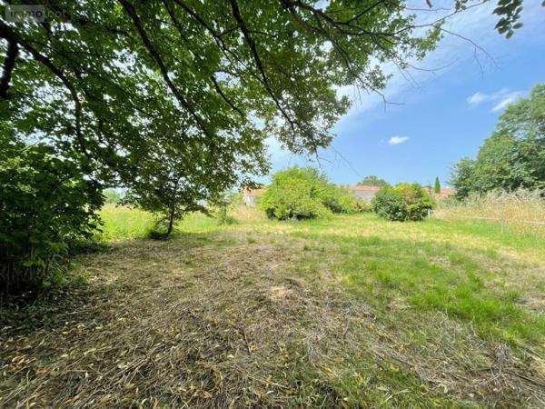 Achat - Terrain à bâtir Thairé 17290 1103 m 2