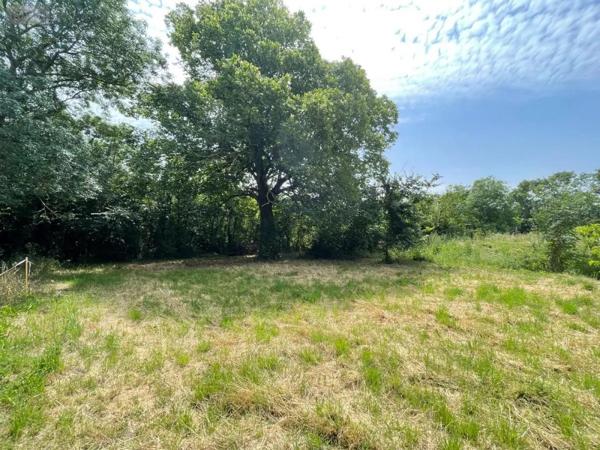 Achat - Terrain à bâtir Thairé 17290 1103 m 2