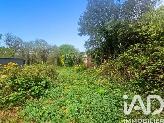 Terrain à vendre 1 136 m² Trébeurden