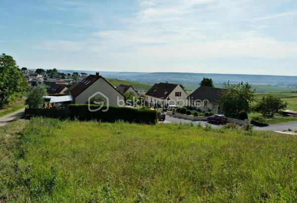 Panorama unique 
Dans l’un des villages les plus recherchés de la Champagne, au cœur des coteaux champenois, ce terrain bénéficie d’un emplacement remarquable et d’une vue panoramique époustouflante sur Épernay et la Vallée de la Marne.
D’une superficie de 1 043 m², ce terrain offre de belles possibilités d’implantation pour un projet de résidence de standing, idéal pour la réalisation d’une propriété de prestige.
Implanté en position dominante, il surplombe un paysage façonné par les vignes et le relief de la vallée. La vue dégagée, visible depuis le terrain, offre un spectacle permanent, où nature, lumière et patrimoine viticole se rencontrent avec élégance.
Champillon séduit par son cadre résidentiel confidentiel, son environnement préservé et son art de vivre. 
Offrez à votre famille un panorama à couper le souffle, du lever au coucher du soleil, tous les jours ou juste pour le week-end. »