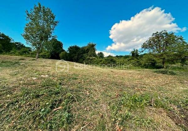 Panorama unique 
Dans l’un des villages les plus recherchés de la Champagne, au cœur des coteaux champenois, ce terrain bénéficie d’un emplacement remarquable et d’une vue panoramique époustouflante sur Épernay et la Vallée de la Marne.
D’une superficie de 1 043 m², ce terrain offre de belles possibilités d’implantation pour un projet de résidence de standing, idéal pour la réalisation d’une propriété de prestige.
Implanté en position dominante, il surplombe un paysage façonné par les vignes et le relief de la vallée. La vue dégagée, visible depuis le terrain, offre un spectacle permanent, où nature, lumière et patrimoine viticole se rencontrent avec élégance.
Champillon séduit par son cadre résidentiel confidentiel, son environnement préservé et son art de vivre. 
Offrez à votre famille un panorama à couper le souffle, du lever au coucher du soleil, tous les jours ou juste pour le week-end. »