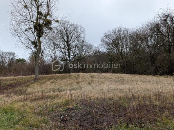 Panorama unique 
Dans l’un des villages les plus recherchés de la Champagne, au cœur des coteaux champenois, ce terrain bénéficie d’un emplacement remarquable et d’une vue panoramique époustouflante sur Épernay et la Vallée de la Marne.
D’une superficie de 1 043 m², ce terrain offre de belles possibilités d’implantation pour un projet de résidence de standing, idéal pour la réalisation d’une propriété de prestige.
Implanté en position dominante, il surplombe un paysage façonné par les vignes et le relief de la vallée. La vue dégagée, visible depuis le terrain, offre un spectacle permanent, où nature, lumière et patrimoine viticole se rencontrent avec élégance.
Champillon séduit par son cadre résidentiel confidentiel, son environnement préservé et son art de vivre. 
Offrez à votre famille un panorama à couper le souffle, du lever au coucher du soleil, tous les jours ou juste pour le week-end. »