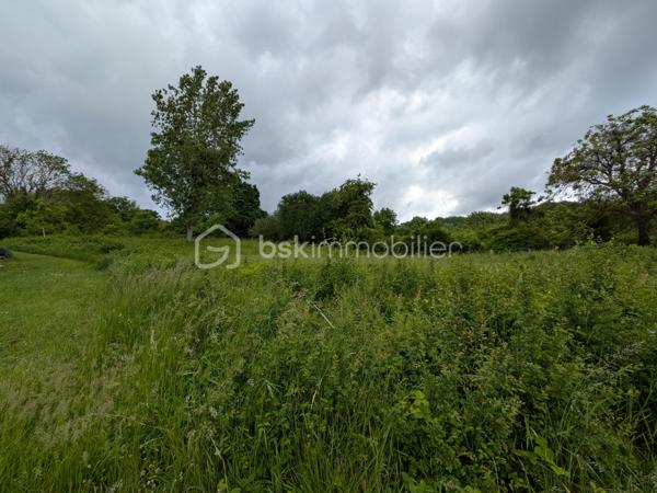 Panorama unique 
Dans l’un des villages les plus recherchés de la Champagne, au cœur des coteaux champenois, ce terrain bénéficie d’un emplacement remarquable et d’une vue panoramique époustouflante sur Épernay et la Vallée de la Marne.
D’une superficie de 1 043 m², ce terrain offre de belles possibilités d’implantation pour un projet de résidence de standing, idéal pour la réalisation d’une propriété de prestige.
Implanté en position dominante, il surplombe un paysage façonné par les vignes et le relief de la vallée. La vue dégagée, visible depuis le terrain, offre un spectacle permanent, où nature, lumière et patrimoine viticole se rencontrent avec élégance.
Champillon séduit par son cadre résidentiel confidentiel, son environnement préservé et son art de vivre. 
Offrez à votre famille un panorama à couper le souffle, du lever au coucher du soleil, tous les jours ou juste pour le week-end. »