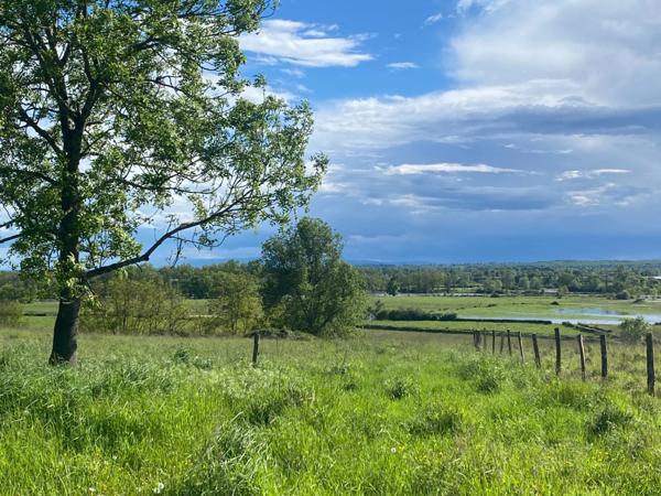 À vendre Saône et Loire – Digoin Terrain de 4 560 m² avec vue dégagée exceptionnelle