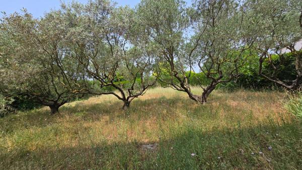 Grande Maison Familiale sur Mallemort